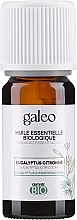 Kup Olejek eteryczny Eukaliptus cytrynowy - Galeo Organic Essential Oil Eucalyptus Citriodora