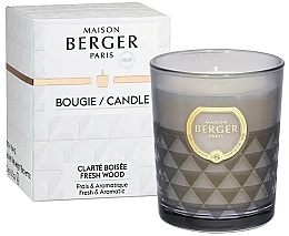 Kup Maison Berger Fresh Wood - Świeca zapachowa