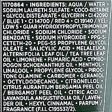 Kojący szampon przeciwłupieżowy - L'Oreal Paris Elvive Phytoclear Antiforfora Shampoo  — Zdjęcie N3