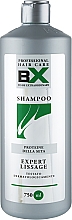 Kup Szampon przeciw puszeniu - BX Professional Expert Lissage Shampoo