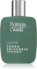 Bottega Verde Cedro Selvaggio - Woda toaletowa — Zdjęcie N2