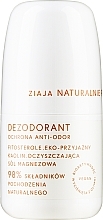 Dezodorant w kulce - Ziaja Anti-Odor Protection — Zdjęcie N1
