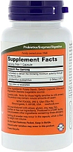 Szczep bakterii kwasu mlekowego w kapsułkach - Now Foods Acidophilus Two Billion — Zdjęcie N2