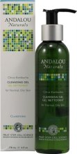 Kup Oczyszczający żel - Andalou Naturals Cleansing Gel