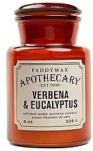 Kup Świeca zapachowa w słoiku - Paddywax Apothecary Artisan Made Soywax Candle Verbena & Eucalyptus