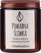 Kup Zapachowa świeca sojowa Powabna śliwka - Bosphaera Charming Plum