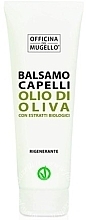Kup Odżywka do włosów z oliwą z oliwek - Officina Del Mugello Balsamo Capelli Olio di Oliva