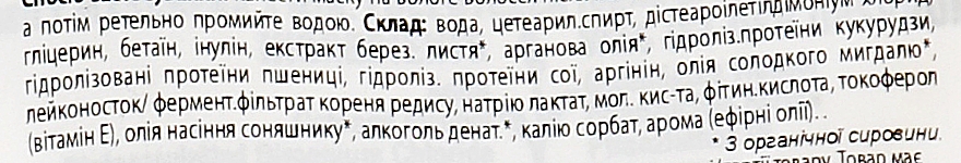 Ekspresowa maska ​​nadająca włosom połysk Białka roślinne i liście brzozy - Sante Family 3 Min Gloss Mask — Zdjęcie N3