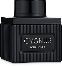 Flavia Cygnus Pour Homme - Woda perfumowana — Zdjęcie N1