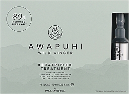 Kup Keratynowa kuracja do włosów zniszczonych - Paul Mitchell KeraTriplex Treatment