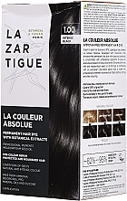 PRZECENA! Farba do włosów - Lazartigue La Couleur Absolue Permanent Haircolor * — Zdjęcie N3