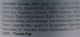 Błotny szampon z olejem z rokitnika - Mon Platin DSM Mineral Theatment Mud Shampoo — Zdjęcie N2