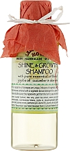 Kup Naturalny szampon na porost włosów z olejem jojoba, ogórkiem i aloesem - Lemongrass House Shine & Growth Shampoo