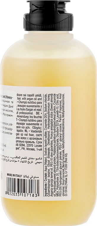 Szampon do włosów Olejek arganowy i miód - Farmavita Back Bar No2 Nourishing Shampoo Argan And Honey — Zdjęcie N2