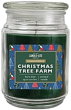 Kup Świeca zapachowa w słoiku - Candle-Lite Company Christmas Tree Farm Candle