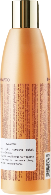 Nawilżający szampon do włosów Olej arganowy - Kativa Argan Oil Shampoo — Zdjęcie N2