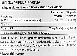 Aminokwas GABA z witaminą B6, 500 mg - Now Foods GABA with Vitamin B6 500 mg — Zdjęcie N3