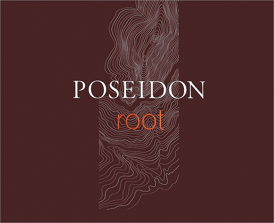 Instituto Espanol Poseidon Root - Zestaw (edt/100ml + sh/gel/100ml + ash/lot/100ml) — Zdjęcie N1