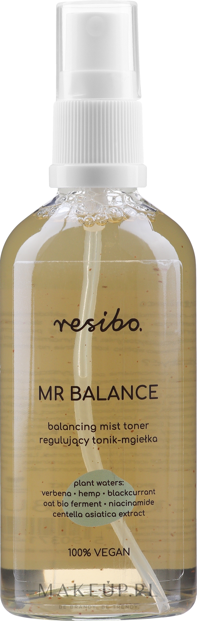 Regulujący tonik-mgiełka do twarzy - Resibo Mr Balance Balancing Mist Toner — Zdjęcie 100 ml