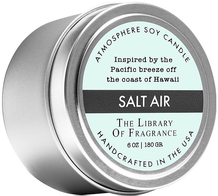 Demeter Fragrance The Library of Fragrance Salt Air Atmosphere Soy Candle - Świeca zapachowa — Zdjęcie N1