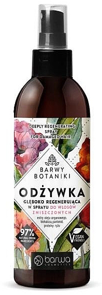 Odżywka w sprayu do włosów zniszczonych - Barwa Barwy Botaniki — Zdjęcie N1