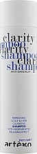 Kup Szampon w kostce przeciwłupieżowy - Artego Easy Care T Clarity Shampoo