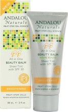 Kup Rozjaśniający krem BB do twarzy SPF 30 - Andalou Naturals All In One Beauty Balm Sheer Tint With SPF 30