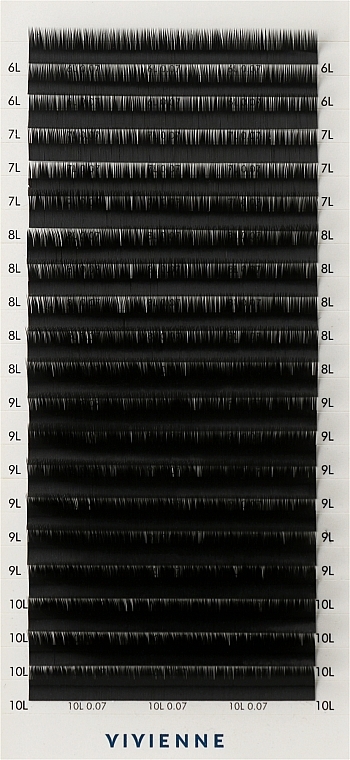 Sztuczne rzęsy Elite, czarne, 20 kresek (mix, 0,07, L, (6-10)) - Vivienne — Zdjęcie N1