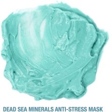 Antystresowa maseczka do twarzy z minerałami z Morza Martwego - Freeman Feeling Beautiful Dead Sea Minerals Anti-Stress Mask (miniprodukt) — Zdjęcie N4