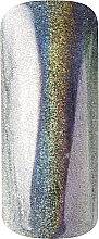 Pigment do zdobienia paznokci - Peggy Sage Nail Pigment Chrome Effect Holo — Zdjęcie N2