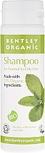 Kup Szampon do włosów normalnych i przetłuszczających się - Bentley Organic Shampoo For Normal to Oily Hair