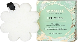Kup Piankowa gąbka pod prysznic wielokrotnego użytku - Spongelle Elevation Body Wash Infused Buffer Edelweiss