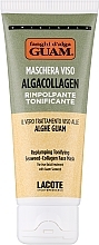 Maseczka do twarzy z kolagenem z alg - Guam Algacollagen Replumping Tonifying Seaweed-Collagen Face Mask — Zdjęcie N1