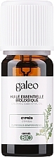 Kup Olejek eteryczny Cyprys - Galeo Organic Essential Oil Cypress