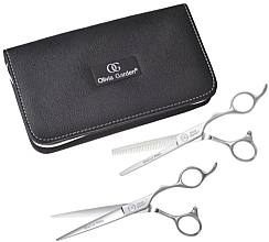 Kup 6.5' zestaw nożyczek dla praworęcznych, wersja europejska - Olivia Garden SilkCut Pro Set EUR RH