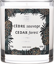 Kup Świeca zapachowa w szklance Drzewo cedrowe - Panier Des Sens Scented Candle Cedar Forest
