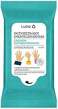 Kup Oczyszczające chusteczki do rąk z płynem antybakteryjnym - Luba Wipes