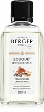 Wkład do dyfuzora zapachowego - Maison Berger Land Of Spices Reed Diffuser Refill — Zdjęcie N1