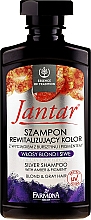 Kup Szampon rewitalizujący kolor włosów blond i siwych z wyciągiem z bursztynu i pigmentem - Farmona Jantar