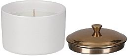 Świeca zapachowa Tytoń i wanilia - Paddywax Hygge Ceramic Candle White Tobacco & Vanilla — Zdjęcie N2