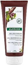 Odżywka przeciw wypadaniu włosów Szarotka - Klorane Strength Tired Hair & Fall Conditioner With Quinine And Edelweiss Organic — Zdjęcie N1