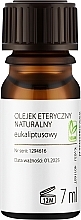Kup Olejek eukaliptusowy - Organique Spa & Wellness Natural Essential Oil Eucalyptus