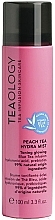 Mgiełka do twarzy - Teaology Blue Tea Peach Tea Hydra Mist — Zdjęcie N1