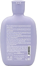 Wygładzający szampon do włosów - Alfaparf Semi di Lino Smooth Smoothing Shampoo — Zdjęcie N2