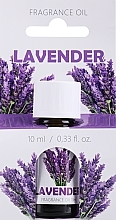 Kup Olejek zapachowy Lawenda - Admit Oil Lavender