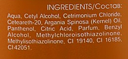 Odżywka do włosów z olejem arganowym - Tico Professional Expertico Argan Oil Conditioner — Zdjęcie N3