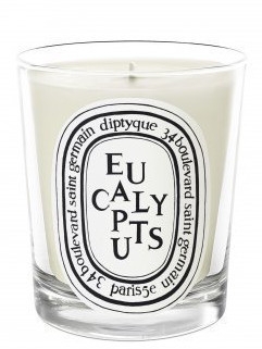 Świeca zapachowa - Diptyque Eucalyptus Candle — Zdjęcie N1