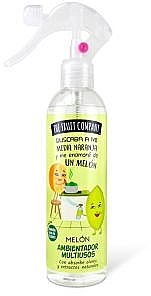 Odświeżacz powietrza w sprayu - The Fruit Company Multi-Purpose Air Freshener Spray Melon — Zdjęcie N1