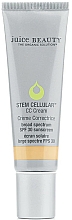 Kup Wielofunkcyjny krem CC do twarzy z SPF 30 - Juice Beauty Stem Cellular 
