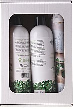 Kup Zestaw - Vianek Seria zielona energetyzująca (b/balm 300 ml + sh/gel 300 ml)